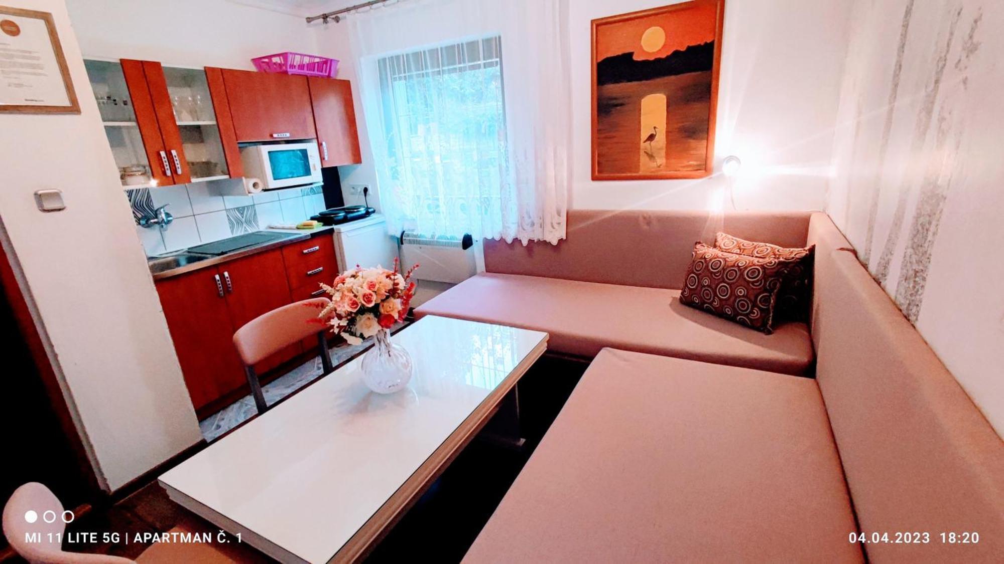 Penzion Pohoda - Apartmany Jeseník Exterior foto